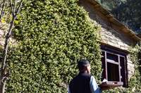 Hospitality-Itmenaan-resort-in-binsar